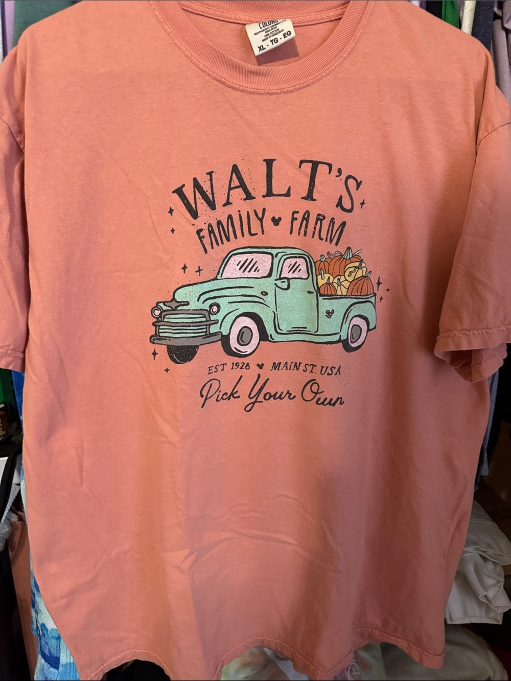 Pixie Lee and co Disney Walt’s Farm Pumpkin Shirt